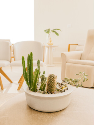 9dc35866 image 3.jpg